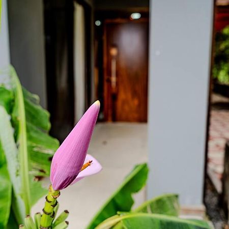 Cloud Forest House Monteverdes Luaran gambar