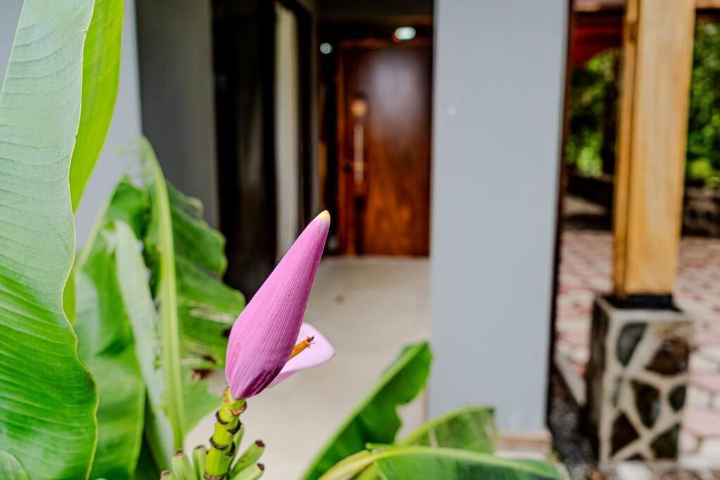 Cloud Forest House Monteverdes Luaran gambar